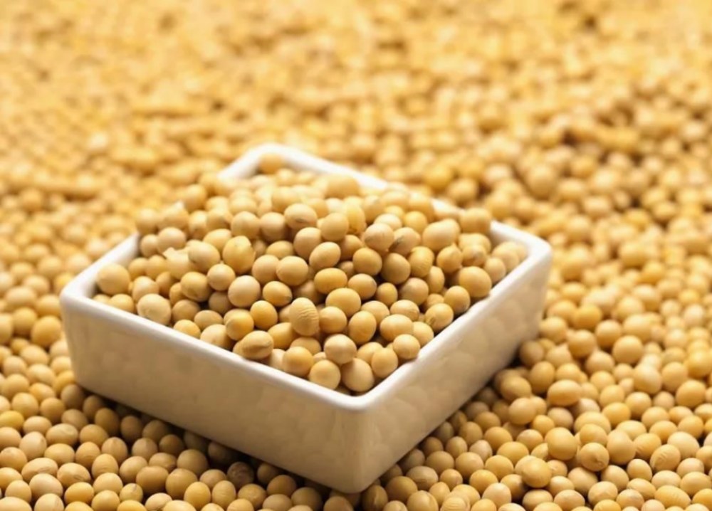 Apa mupangat saka kacang kedelai?