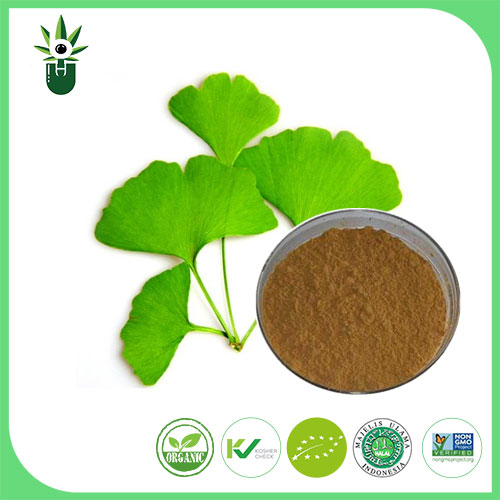 Apa gejala sing bisa digunakake ing Extract godhong Biloba sing digunakake kanggo ngenthengake?