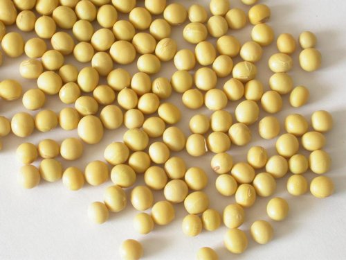 Apa fungsi lan efek saka soy isoflavones?