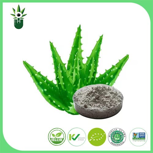 Ekstrak Aloe Vera