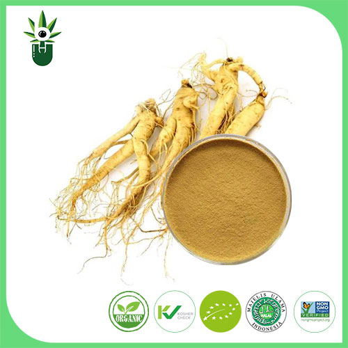 Ekstrak Ginseng Amerika