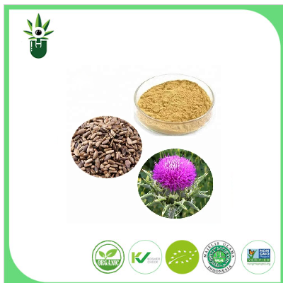 Ekstrak Thistle susu