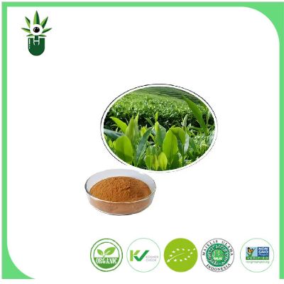 Ekstrak teh ijo alami 98% l