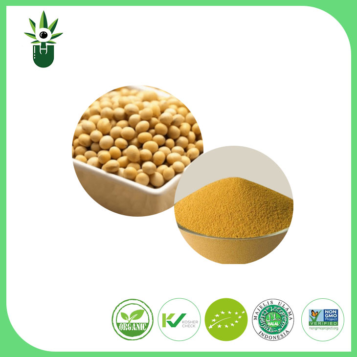Bubuk Extract Non-GMO 90% Soy Isoflavones